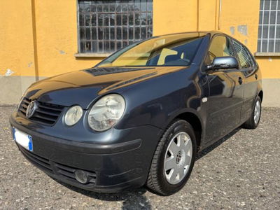 Volkswagen Polo 1.9 SDI cat 5p. Comfortline Air usata