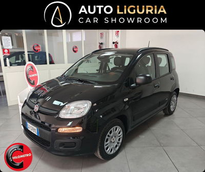 Fiat Panda Cross Cross 1.0 FireFly S&S Hybrid usata