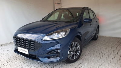 Ford Kuga 2.0 EcoBlue 120 CV aut. 2WD ST-Line X usata