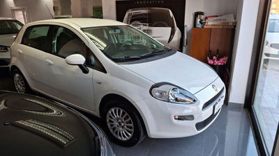 Fiat Punto 1.2 8V 5 porte Street usata