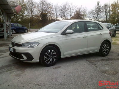 Volkswagen Polo 1.0 evo Life 80cv usata
