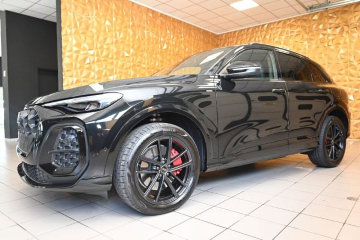 Audi Q5 2.0 e-hybrid Business quattro 299cv s-tronic (8)