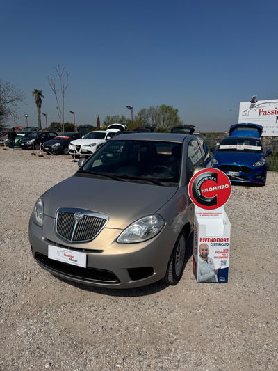 Lancia Ypsilon 1.2 69 CV Platino usata