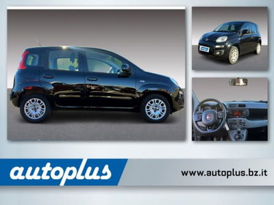 Fiat Panda 1.2 Easy usata