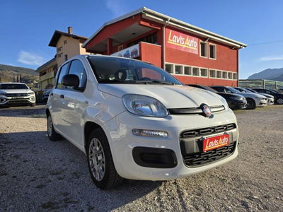 Fiat Panda 1.2 Easy usata