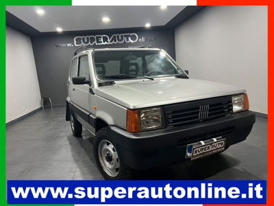 Fiat Panda 1100 i.e. cat 4x4 Trekking usata