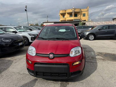 Fiat Panda 1.0 firefly hybrid s&s 70cv 5p.ti nuova