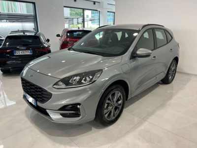 Ford Kuga 2.5 Plug In Hybrid 225 CV CVT 2WD ST-Line nuova