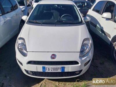 Fiat Punto 1.2 8V 5 porte Lounge usata