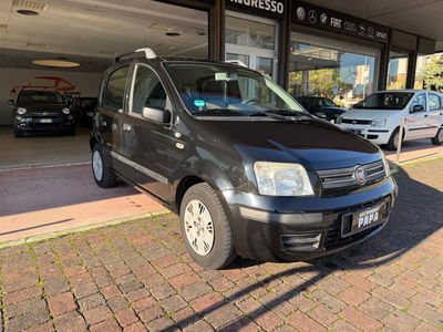 Fiat Panda 1.2 4x4 usata