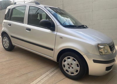Fiat Panda 1.2 Dynamic usata