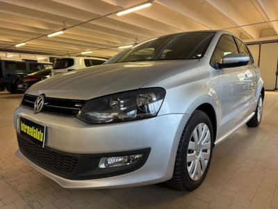 Volkswagen Polo 1.2 TDI DPF 5 p. Comfortline usata