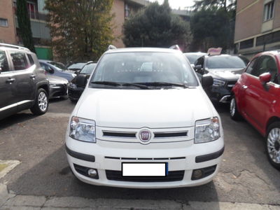 Fiat Panda 1.2 Dynamic usata