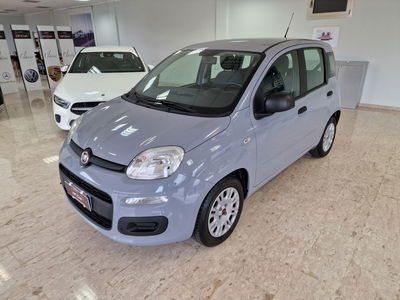 Fiat Panda Cross Cross 1.0 FireFly S&S Hybrid usata