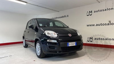 Fiat Panda Cross Cross 1.0 FireFly S&S Hybrid usata