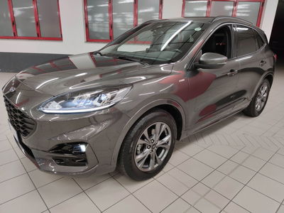 Ford Kuga 1.5 EcoBoost 150 CV 2WD ST-Line usata