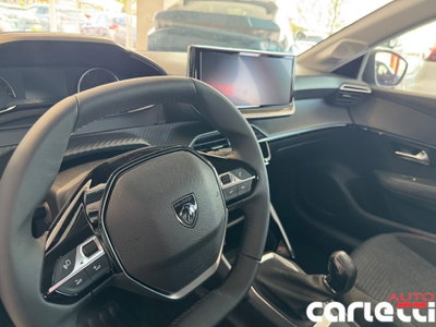 Peugeot 208 PureTech 100 Stop&Start 5 porte Active (18)