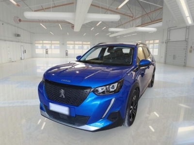 Peugeot 2008 BlueHDi 100 S&S Allure Navi Pack usata