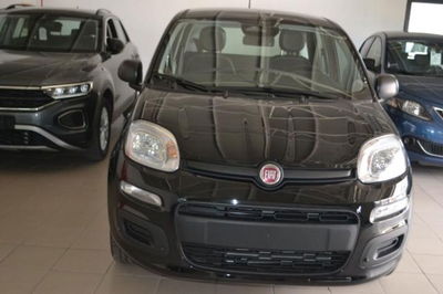 Fiat Panda 1.0 firefly hybrid Icon s&s 70cv nuova