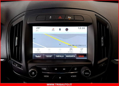 Opel Insignia Station Wagon CDTI Sports Cosmo (13)