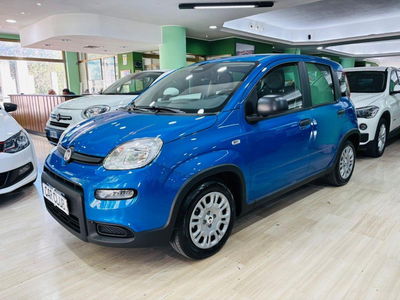 Fiat Panda 1.0 FireFly S&S Hybrid City Cross usata