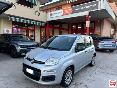 Fiat Panda 1.2 Easy usata
