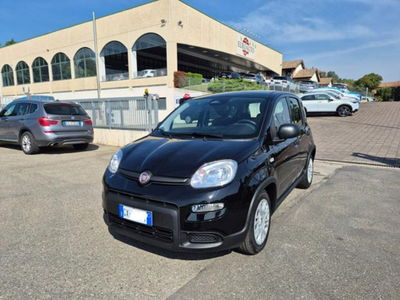 Fiat Panda 1.0 firefly hybrid s&s 70cv 5p.ti nuova