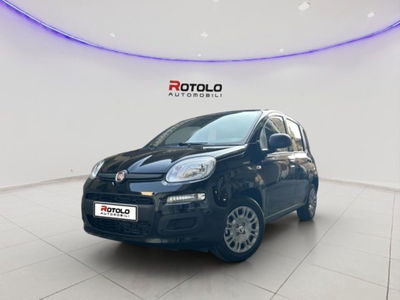 Fiat Panda 1.0 firefly hybrid Pop s&s 70cv nuova