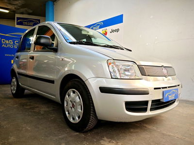 Fiat Panda 1.2 usata