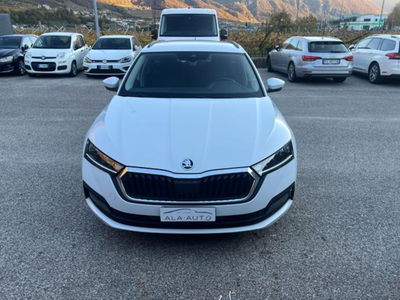 Skoda Octavia Station Wagon 2.0 TDI EVO SCR 150 CV DSG 4x4 Wagon Executive