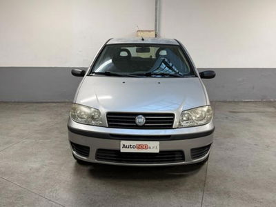 Fiat Punto 1.2 5 porte Active usata