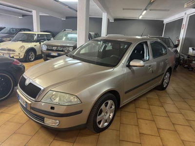 Skoda Octavia 1.9 TDI Ambiente usata