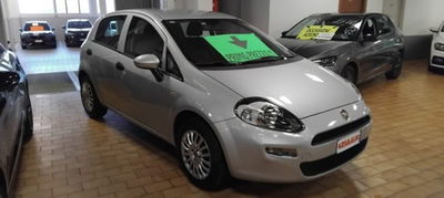 Fiat Punto 1.2 8V 5 porte Street usata