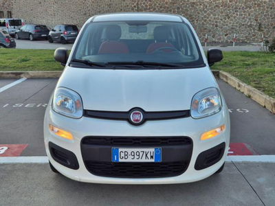 Fiat Panda 1.2 Pop usata
