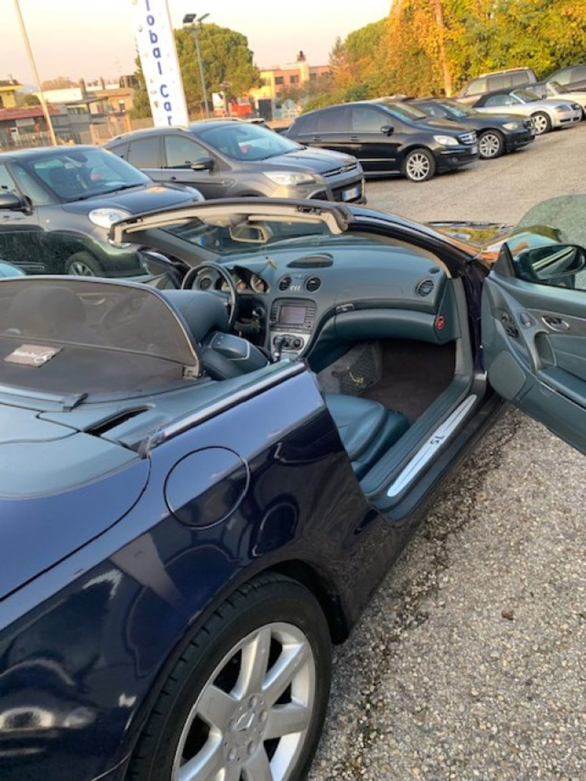Mercedes-Benz SL 350 cat (10)