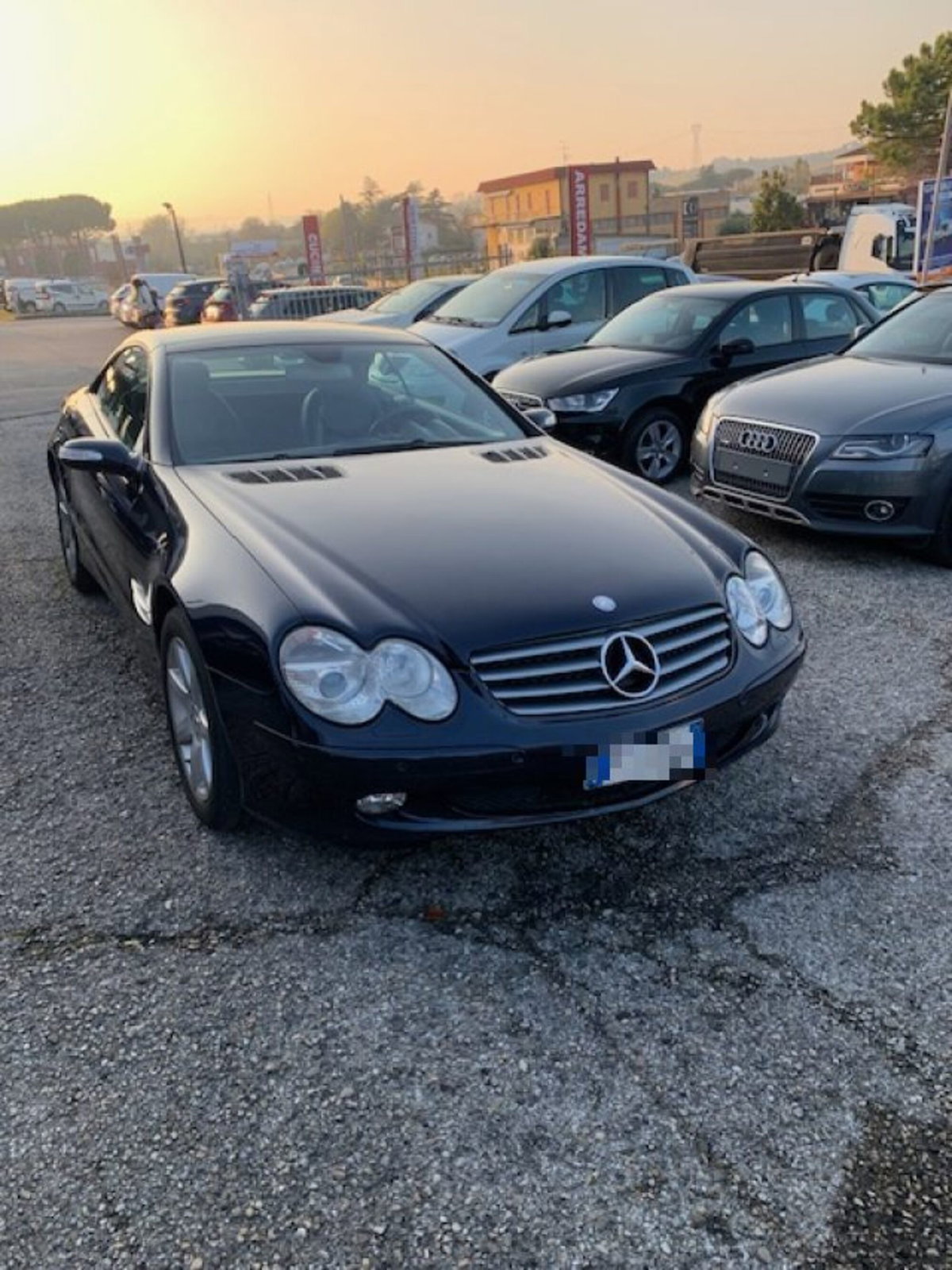 Mercedes-Benz SL 350 cat (2)