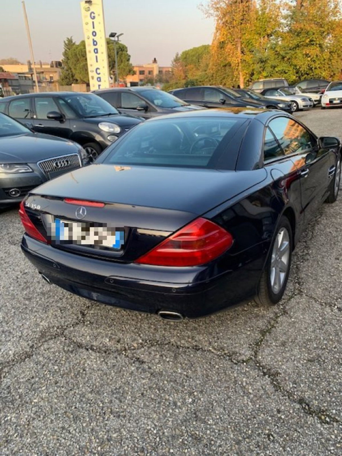 Mercedes-Benz SL 350 cat (3)