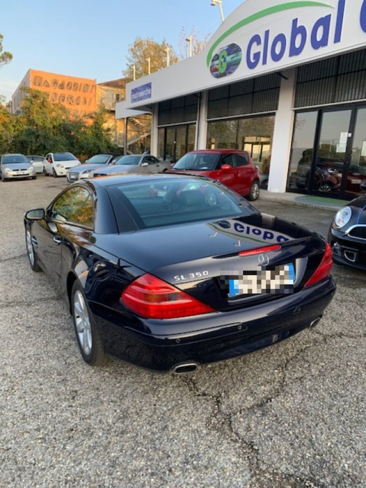Mercedes-Benz SL 350 cat (4)
