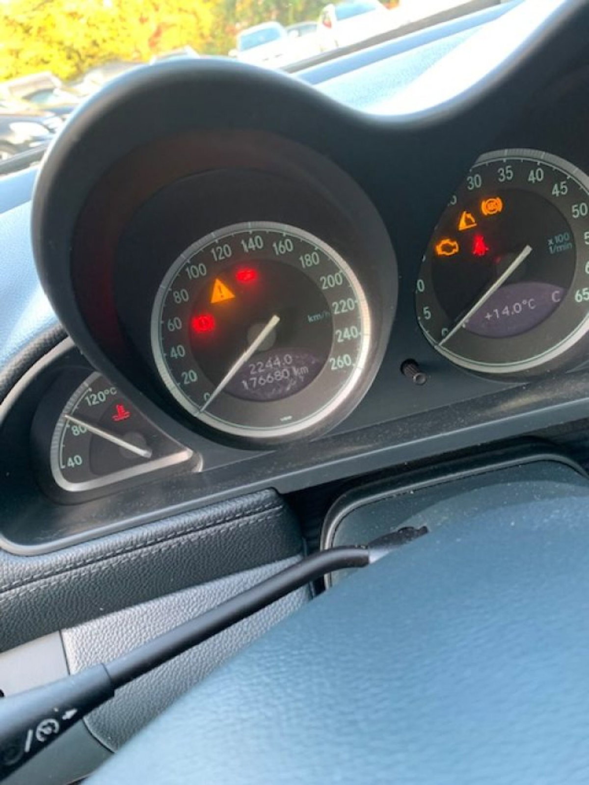 Mercedes-Benz SL 350 cat (7)