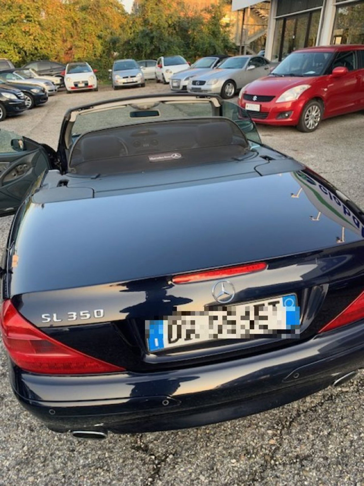Mercedes-Benz SL 350 cat (8)