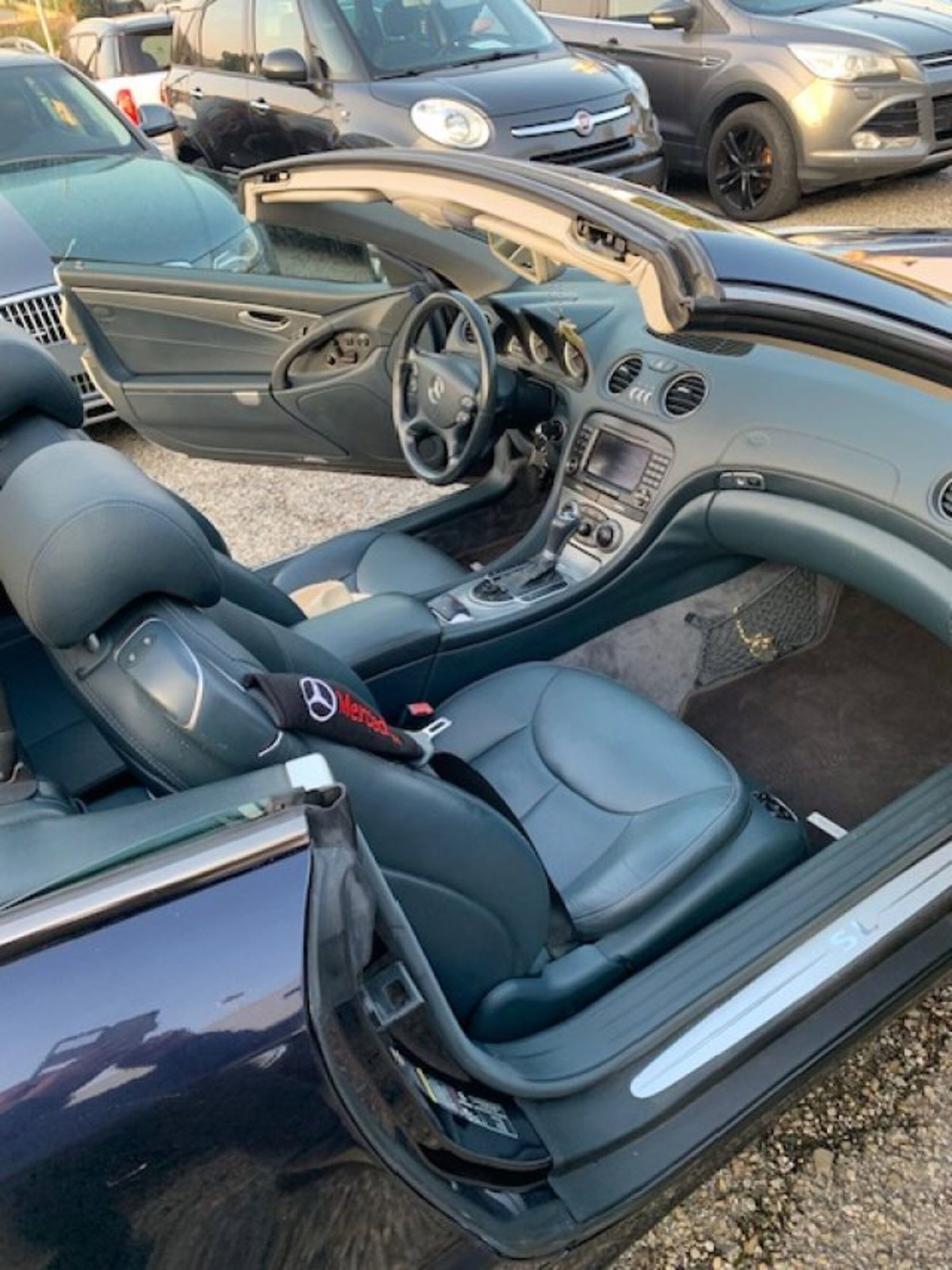 Mercedes-Benz SL 350 cat (9)