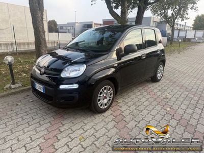 Fiat Panda 1.0 firefly hybrid s&s 70cv 5p.ti usata