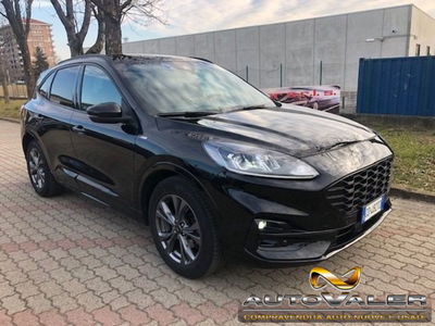 Ford Kuga 1.5 EcoBlue 120 CV aut. 2WD ST-Line X Design usata