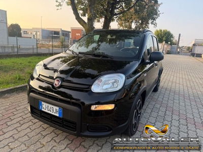 Fiat Panda 1.0 firefly hybrid s&s 70cv 5p.ti usata