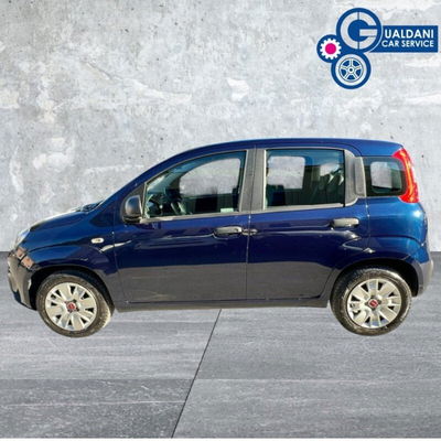 Fiat Panda 1.2 Easy usata