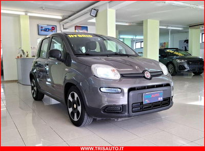 Fiat Panda 1.0 FireFly S&S Hybrid City Cross usata