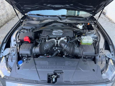 Ford Mustang Coupé 5.0 V8 GT 446cv auto (14)