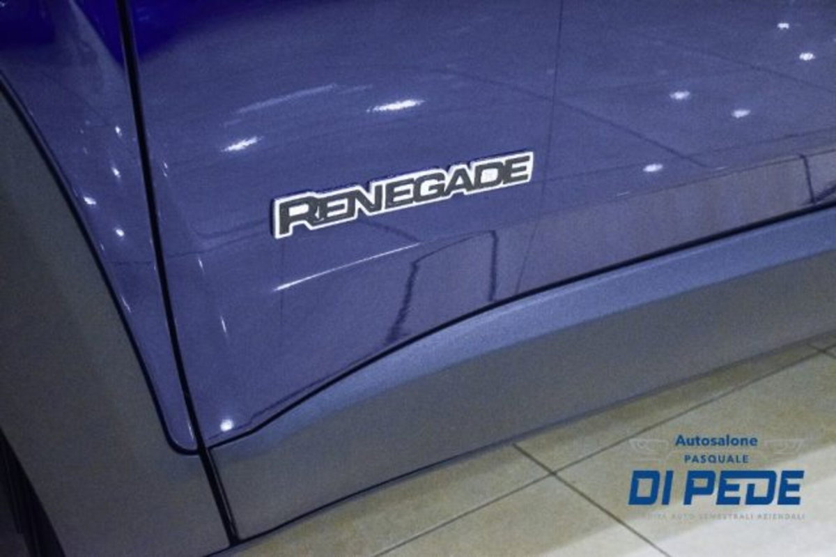 Jeep Renegade 1.6 Mjt 130 CV Limited (11)