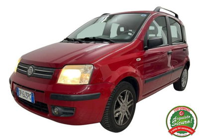 Fiat Panda 1.2 Dynamic usata