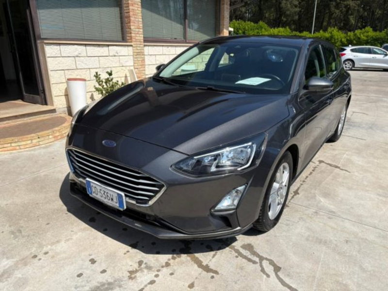 Ford Focus 1.5 EcoBlue 120 CV 5p. Business